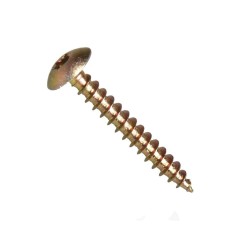 Vrut se širokou půlkulatou hlavou, drážka torx, nerez a2, 6.0x20 mm